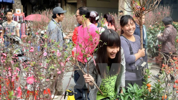 49 điểm chợ hoa Xuân Ất Mùi ở Hà Nội