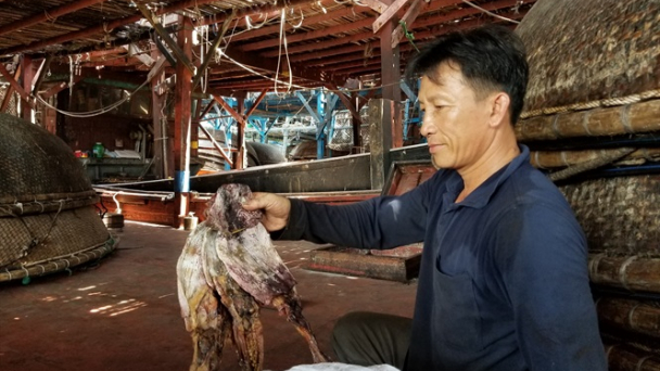 Mực khô tắc đầu ra, nhiều tàu cá nằm bờ
