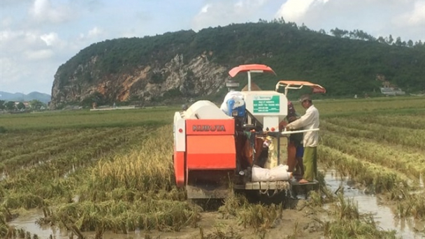 Nghệ An: Bảo kê máy gặt lúa, 3 đối tượng bị bắt giữ