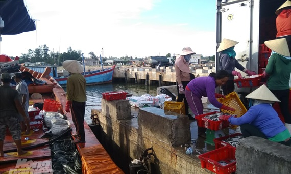 Vùng bãi ngang những mảng màu sáng - tối: Bài 10 - Hậu cần nghề cá cản trở một chủ trương tốt đẹp tại Quảng Trị