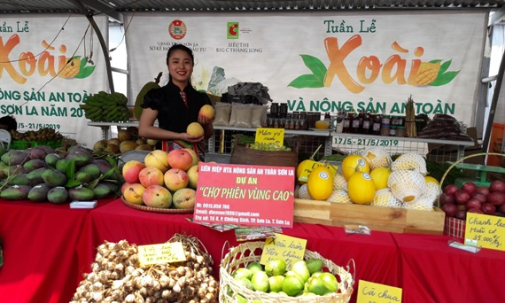 Kỳ vọng tiêu thụ gần 1.000 tấn xoài Sơn La ở hệ thống Big C