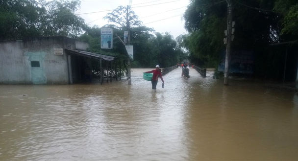 Khánh Hòa: Hàng trăm ngôi nhà, hàng nghìn ha lúa và hoa màu bị ngập do mưa lớn