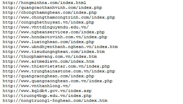 Hàng trăm website của Việt Nam đã bị 'hacker Trung Quốc' tấn công