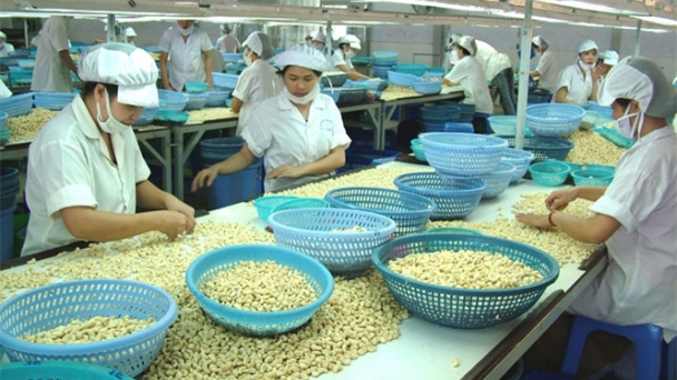 Nông sản Việt - Gã khổng lồ không tiếng tăm?