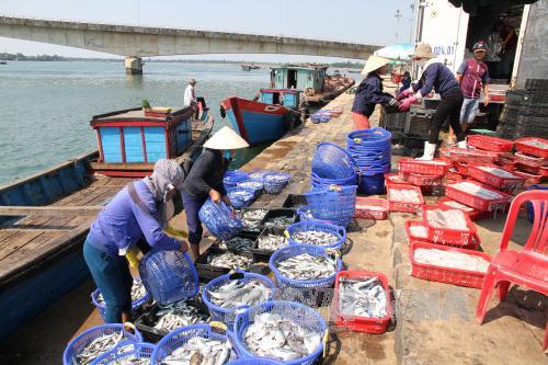 Chỉ định 4 ngân hàng cho vay mua tạm trữ hải sản