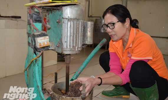 Ông bà ta ngày xưa dùng giun làm thuốc chữa bệnh gì?