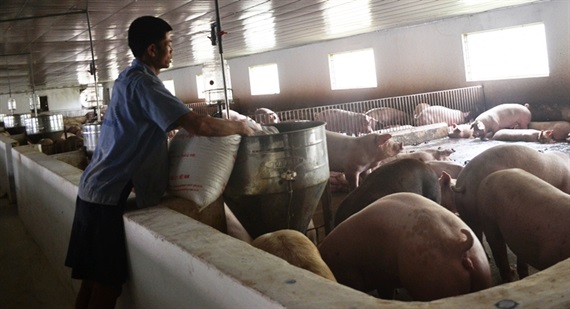 Agribank chi nhánh Hà Tĩnh II: Làm tròn sứ mệnh bà đỡ cho 'tam nông'