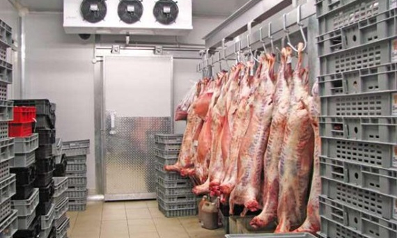 Cấp đông thịt lợn: Doanh nghiệp gặp khó về kho lạnh