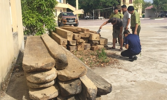 Quảng Bình: Truy bắt ô tô vận chuyển gỗ lậu, kiểm lâm viên bị trọng thương
