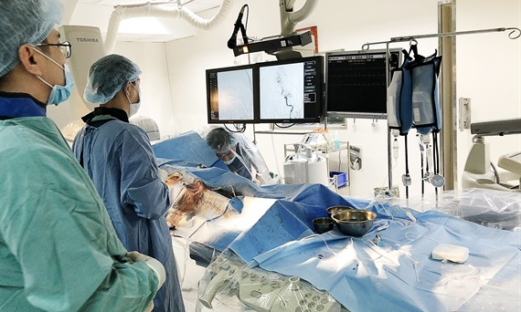Đặt stent động mạch cảnh trong, tránh tái phát nguy cơ đột quỵ