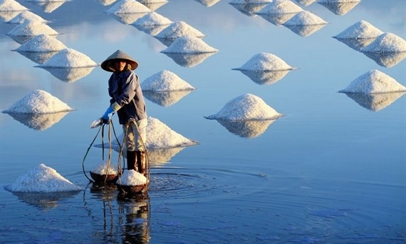 Ninh Thuận quản lý dự án KKT muối công nghiệp và xuất khẩu Quán Thẻ