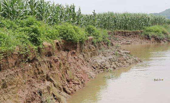 Cát tặc tái diễn, ruộng đất, hoa màu của dân bị đe dọa