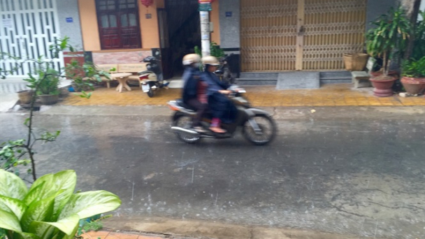Cần Thơ: Cơn mưa vàng giải nhiệt
