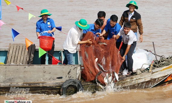 An Giang: Thả gần 15 tấn cá về thiên nhiên để tái tạo nguồn lợi thủy sản