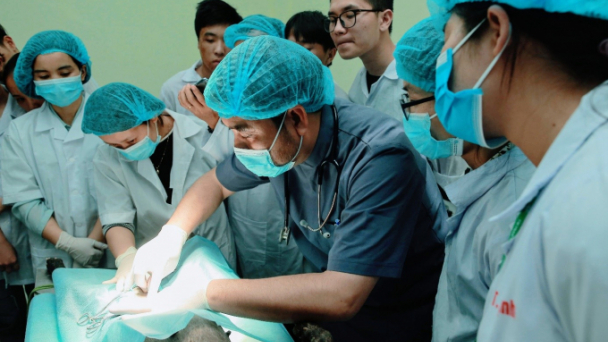 Nhu cầu nhân lực ngành Thú y ngày càng tăng