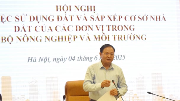 Sử dụng đất, sắp xếp cơ sở nhà đất phải đúng, tiết kiệm, hiệu quả