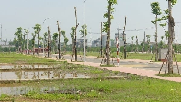 Quy định mới nhất về tiền sử dụng đất, miễn giảm thuế đất
