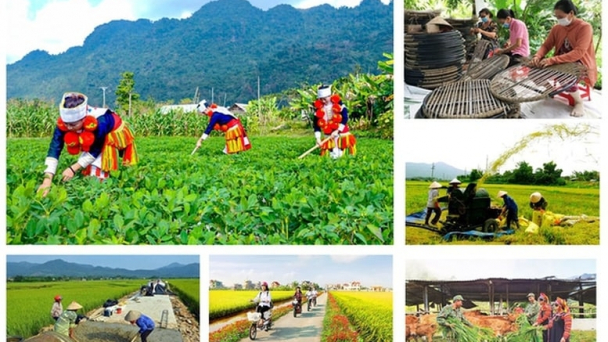 Không tăng biên chế khi kiện toàn Ban Chỉ đạo Chương trình mục tiêu quốc gia
