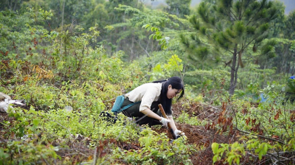 Chung tay phục hồi đất, ngăn chặn sa mạc hóa