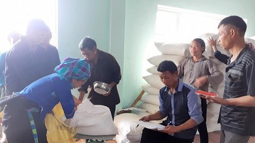 Hà Giang: Người dân bảo vệ rừng được hỗ trợ hơn 600 tấn gạo