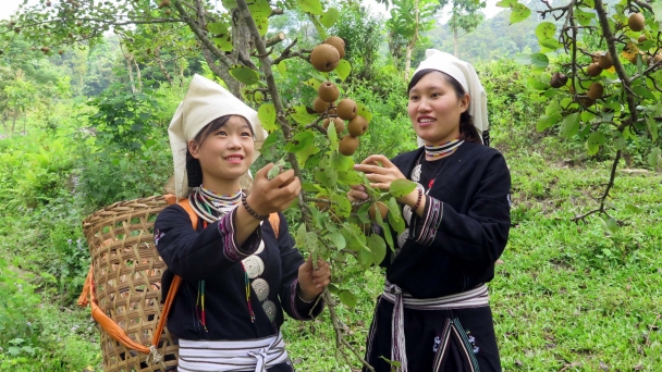 Vùng nông sản sạch cao hơn 1.000m