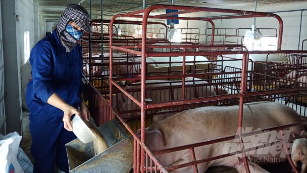 Tái cơ cấu đi vào chiều sâu