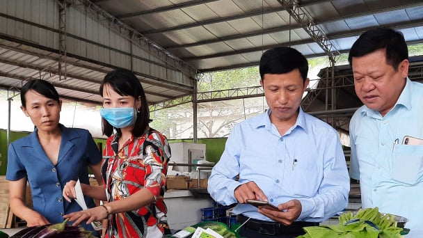 Ghi ở vùng rau an toàn lớn nhất Thủ đô