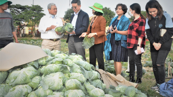Sản xuất vụ đông thuận lợi, thị trường khả quan