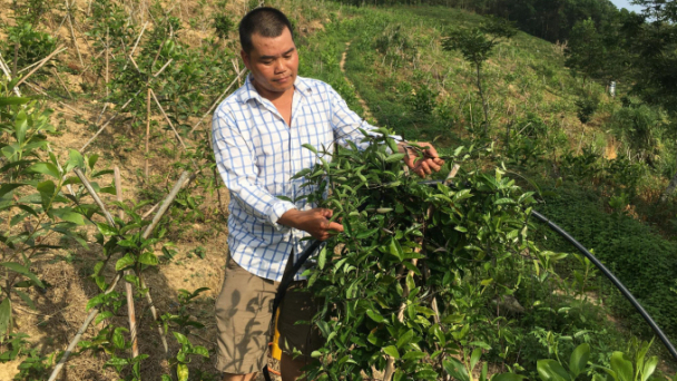 Chàng trai người Dao làm giàu ở bản Mông