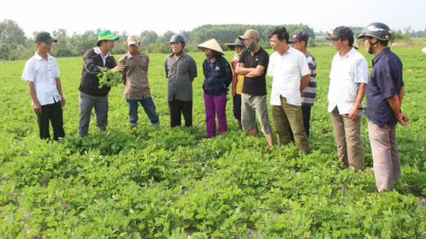 ‘Giảm chi phí, tăng giá trị’ - con đường đẩy mạnh nông nghiệp sinh thái