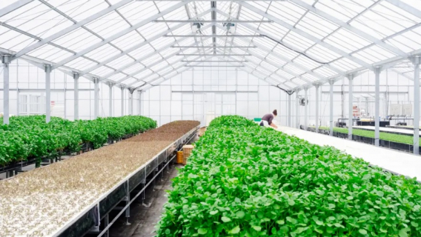 Vietnam agriculture getting close to ‘the 5.0 challenge & chance’