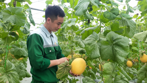 Hi-tech agricultural zone provides 2,000 tons of products each year