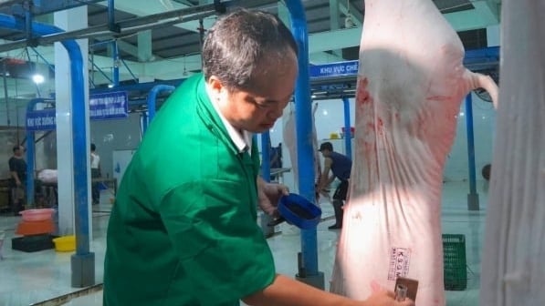 The grassroots veterinary system is the 'backbone' of animal disease prevention