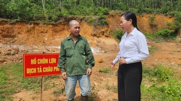 African swine fever prevention is of great urgency for Quang Ninh