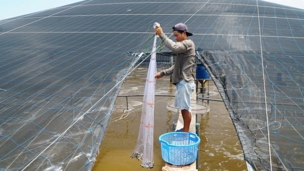 Technology is key to prevent aquatic diseases: Extreme weather equals devastation to water sources