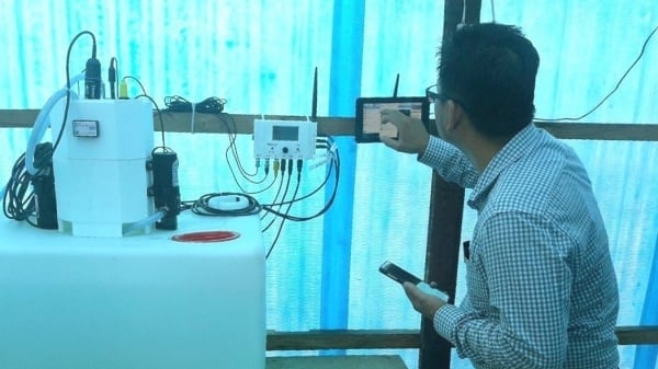 Technology is key to prevent aquatic diseases: Strengthening shrimps with the help of AI