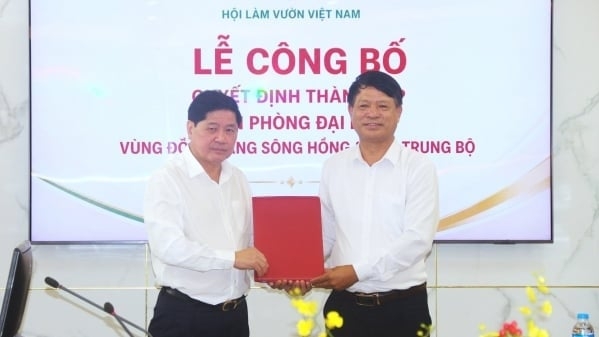 VACVINA expands network in Northern and North Central regions