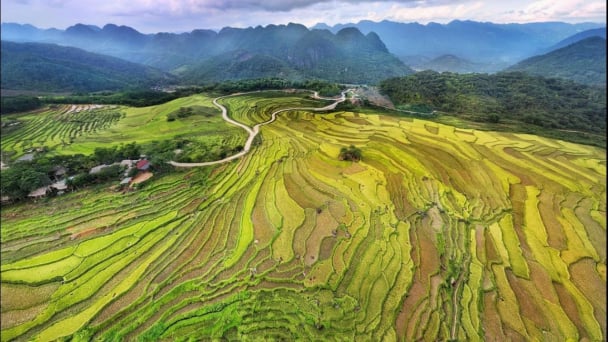 Pù Luông gọi