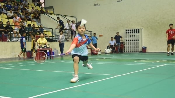 Quảng Nam tổ chức giải vô địch cầu lông, bóng bàn toàn quốc năm 2025