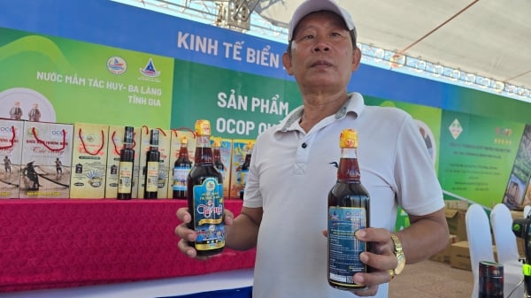 Thảo thơm nước mắm Ba Làng