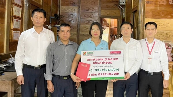 Khi bảo hiểm trở thành chỗ dựa