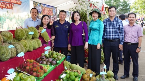 Hàng nghìn du khách về cồn Mỹ Phước trải nghiệm Ngày hội sông nước miệt vườn