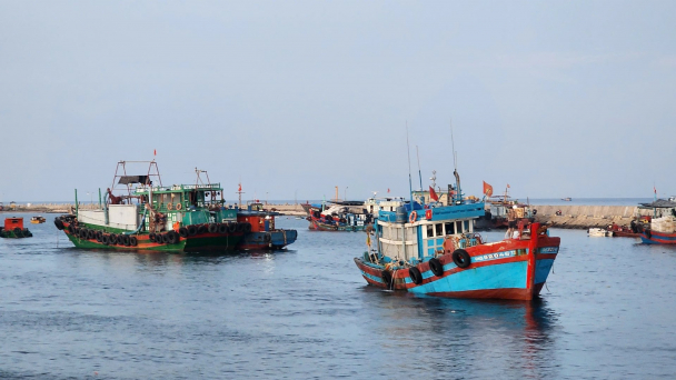 Hải trình cùng kiểm ngư: [Bài 5] Sứ mệnh giữ ‘màu xanh’ cho biển cả