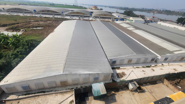 Ai cho phép xây trại lợn trên hành lang thoát lũ sông Đuống?