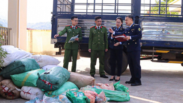 Tiêu hủy hơn 2,5 tấn nội tạng động vật không rõ nguồn gốc