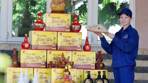Phú Thọ nâng chất OCOP hướng tới phát triển bền vững