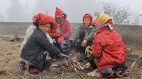 Thời tiết nông vụ ngày 12/12/2024: Miền Bắc rét tê tái, miền Trung mưa lớn