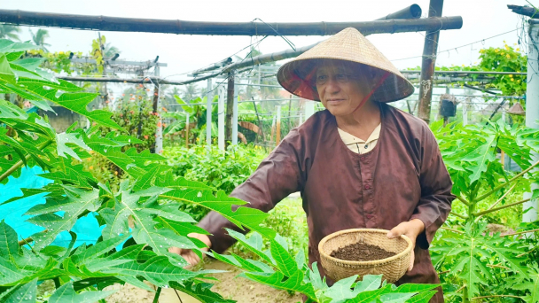 Giữ hồn quê từ những luống rau hữu cơ Thanh Đông