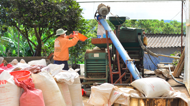 VnSAT hỗ trợ hợp tác xã sản xuất cà phê sạch