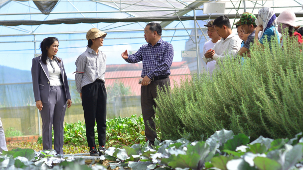 Không sản xuất nông nghiệp hữu cơ theo phong trào